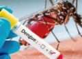 Costa Rica registra 28% aumento casos dengue y Salud pide a ciudadanos mucha prevención