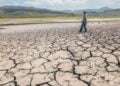Alerta roja en 140 municipios de Honduras por sequía
