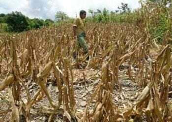 Honduras declara alerta amarilla en 85 municipios por sequía