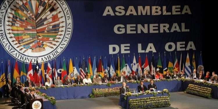 “Desnacionalizados” nicaragüenses exigen a OEA que declare ilegítimo el gobierno de Ortega