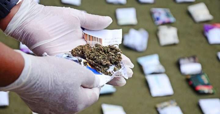 Guerra en Costa Rica por mercado de marihuana