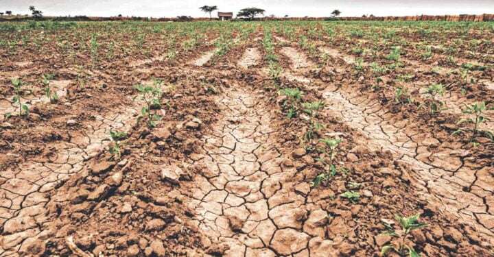 Sequía por El Niño destrozaría cosechas agrícolas en El Salvador