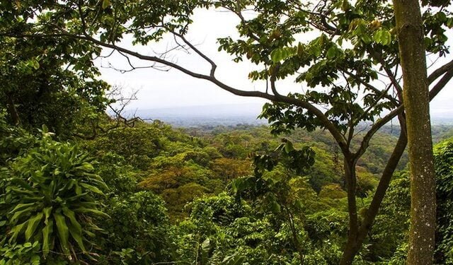 Cambio climático podría provocar pérdidas de hasta $314 mil millones anuales en la región