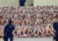 Pandilleros arrestados en el marco del régimen de excepción en El Salvador.