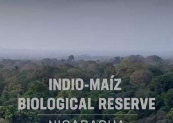 Superestrella Leonardo DiCaprio se une a la lucha por la Reserva Biológica Indio Maíz en Nicaragua