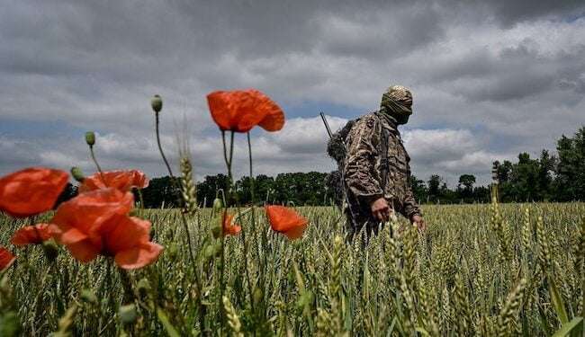 Los ucranianos cumplen 500 días de resilencia ante el invasor ruso