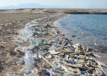 Panamá, Jamaica y Colombia establecen proyecto de $42 millones para combatir la contaminación por plástico