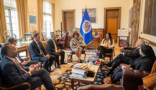 El Salvador solicita a OEA a observar elecciones de 2024