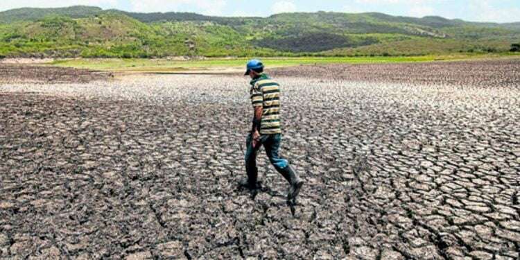 “Crisis” en Corredor Seco de Centroamérica por sequía y altos precios de alimentos