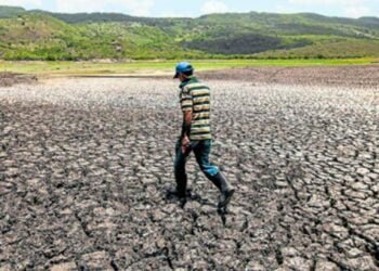“Crisis” en Corredor Seco de Centroamérica por sequía y altos precios de alimentos