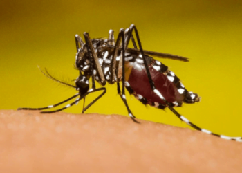 Emergencia sanitaria en toda Guatemala debido al dengue