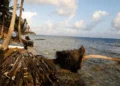 Guna Yala, en el atlántico panameña, es la primera comunidad que sufre desplazamiento por cambio climático en las Américas.