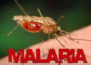 Honduras reporta 1,441 casos de malaria
