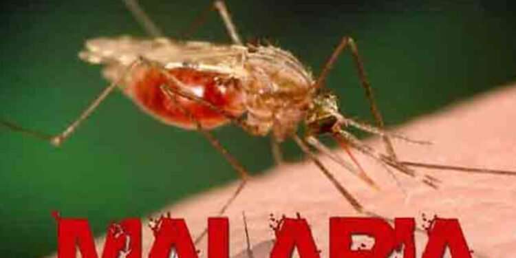 Honduras reporta 1,441 casos de malaria