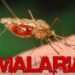 Honduras reporta 1,441 casos de malaria