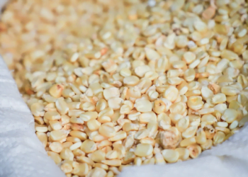 ¿Dónde se vende el maíz y los frijoles más caros en Centroamérica?