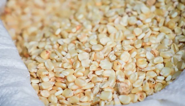 ¿Dónde se vende el maíz y los frijoles más caros en Centroamérica?