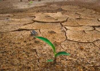 regla de las 1 000 toneladas