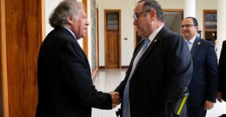 OEA le da más autoridad a su secretario general para el vigilar traspaso presidencial en Guatemala