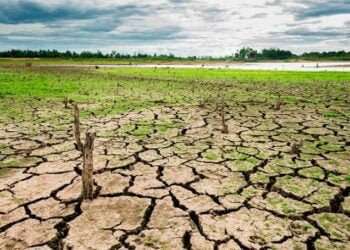 Países del corredor seco centroamericano buscan $300 millones de inversión para enfrentar el cambio climático