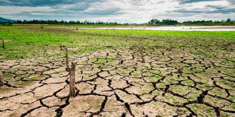 Países del corredor seco centroamericano buscan $300 millones de inversión para enfrentar el cambio climático