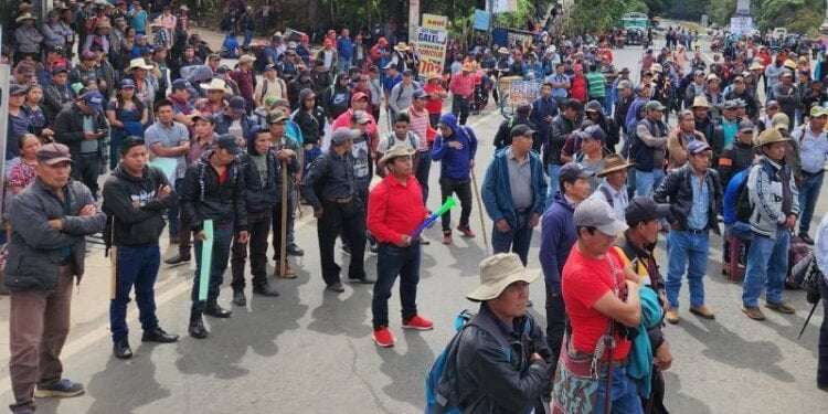 OEA confía en que diálogo entre gobierno y protestantes solvente la crisis en Guatemala