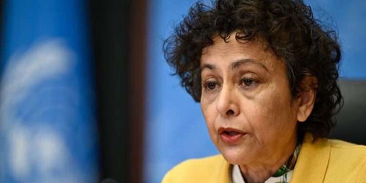 Relatora de la ONU llegará a Honduras para evaluar libertad de expresión