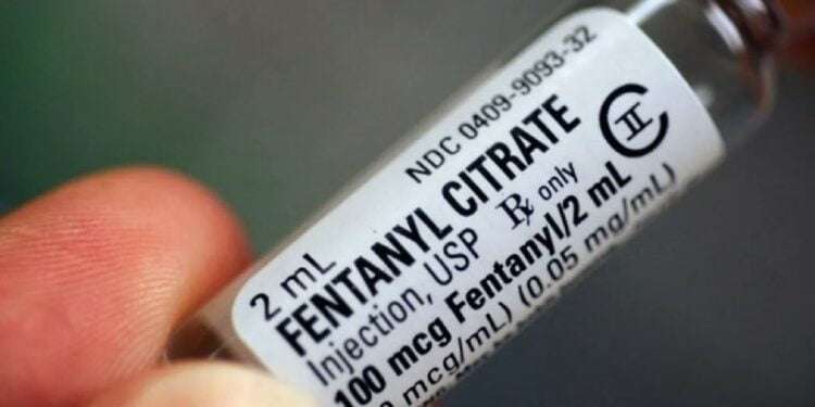 El Salvador alerta tras decomiso de fentanilo en la frontera con Honduras