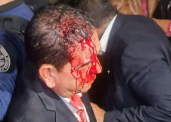 Turba oficialista agrede a diputados opositores en Congreso de Honduras