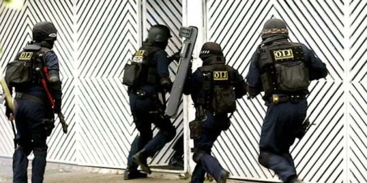 Costa Rica: 300 bandas, tres carteles narcos y casi 700 homicidios