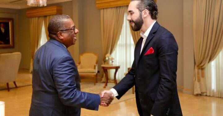 Bukele y Nichols hablan de desarrollo democrático y seguridad en San Salvador