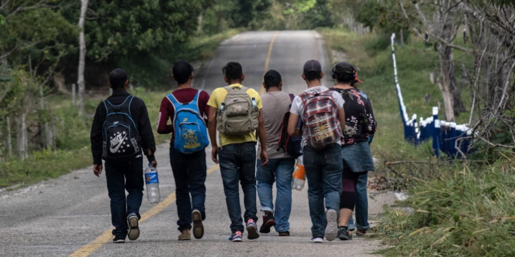 Nicaragüenses figuran entre quienes más pidieron asilo en países OCDE en 2022