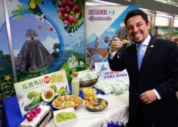 Taiwaneses se dejan cautivar por los aguacates guatemaltecos