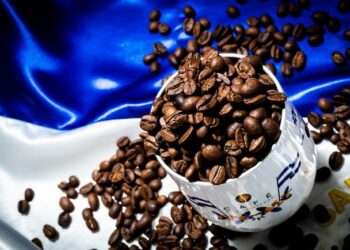 El costo de producir café de especialidad en El Salvador es 57 % más caro que en Honduras