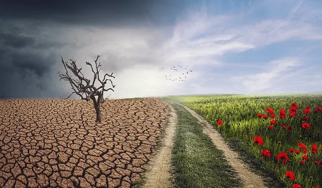 Cambio climático: al borde del precipicio