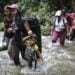 Casi 50 mil migrantes atravesaron la selva del Darién en octubre