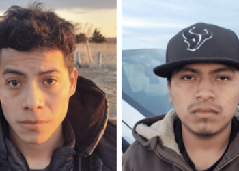 Guatemalteco será deportado de EEUU por matar a una águila calva