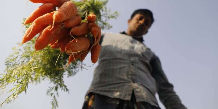 El costo oculto en los sistemas alimentarios llega a $66,000 millones en Centroamérica