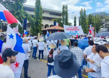 Comerciantes y vecinos marchan en Chiriquí y piden que despejen las calles en Panamá