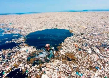 Río Motagua de Guatemala contiene el 3% de la basura plástica mundial