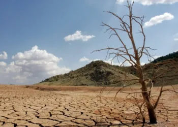 Fenómeno El Niño alcanzó la intensidad “fuerte” en Panamá
