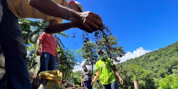FAO y BCIE invertirán $268 millones en resiliencia climática en Centroamérica
