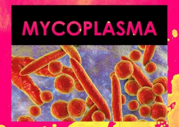 Así es ‘Mycoplasma’, la principal sospechosa del brote de neumonía en China