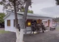 Operativo del OIJ en Cahuita, Limón.