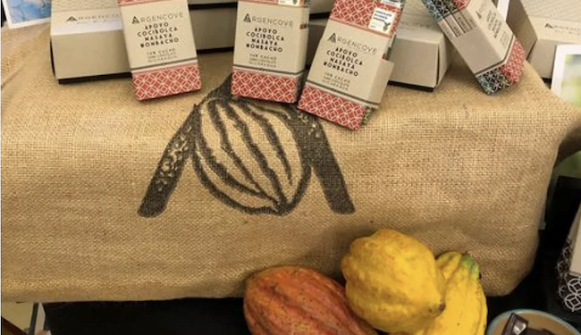 Trece muestras de cacao de Centroamérica quedan entre las mejores del continente