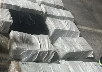 Decomisan en Panamá 395 paquetes con droga que provenía de Honduras