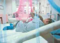dengue