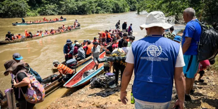 Récord: más de 500 mil migrantes cruzaron la selva del Darién en Panamá este año