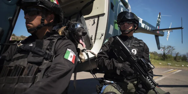 Investigan si cuerpos desmembrados hallados en México son de migrantes guatemaltecos