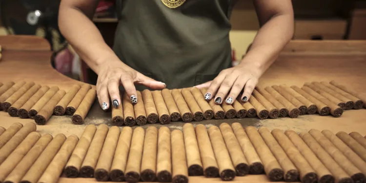 Los puros de Nicaragua, un secreto que suma adeptos y busca nuevos mercados
